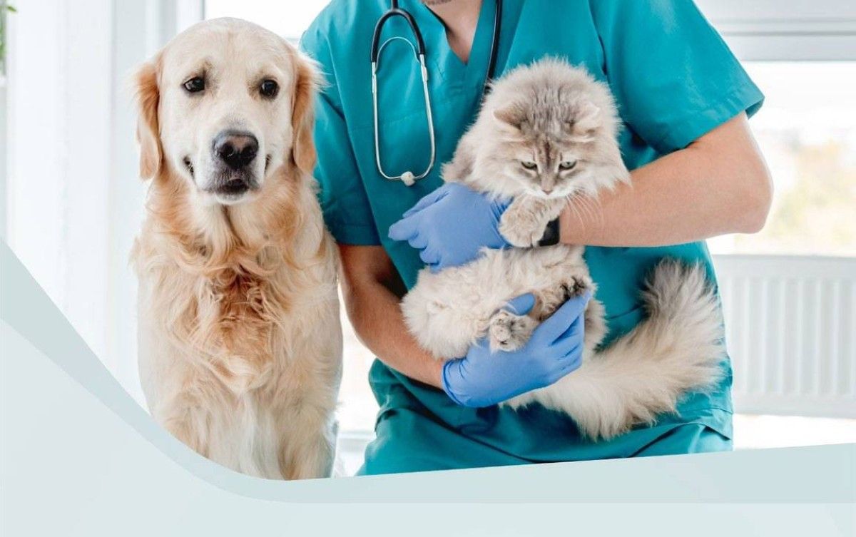 حكومة الإمارات تصدر مرسوماً بقانون اتحادي في شأن المنتجات الطبية البيطرية والمنشآت الصيدلانية البيطرية