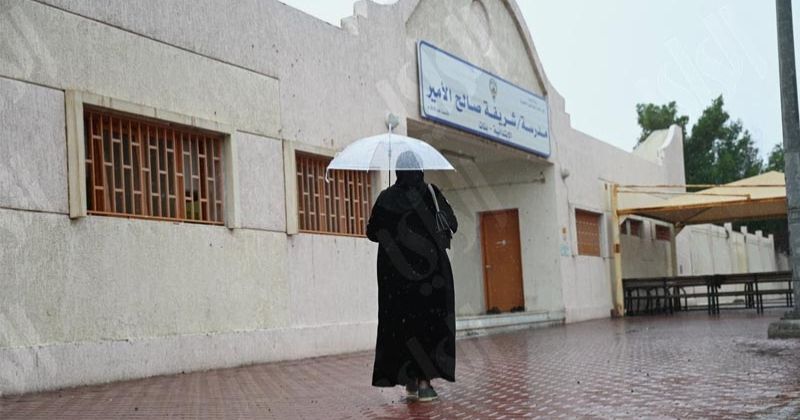 «الأرصاد»: طقس معتدل نهارا وبارد ليلا.. مع أمطار رعدية وضباب