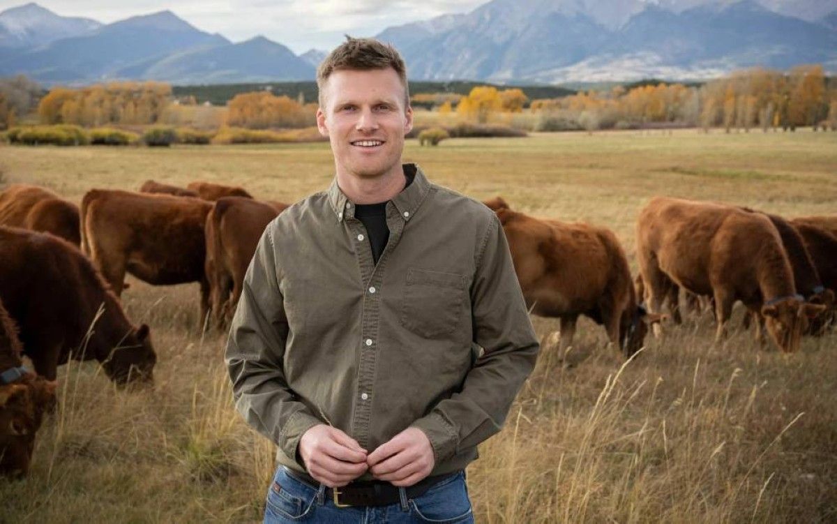 أبقار بلا حدود.. شاب يحدث ثورة في تربية الماشية