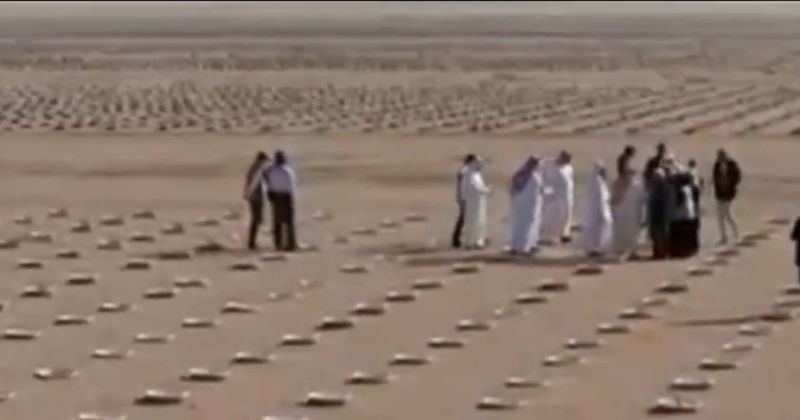 الوفد في المحمية