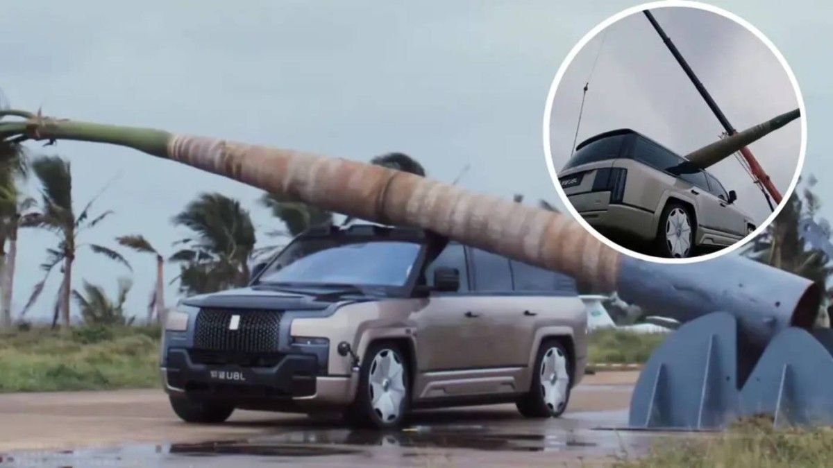 شجرة بوزن طنين تسقط على سيارة كهربائية.. شاهد ماذا حدث