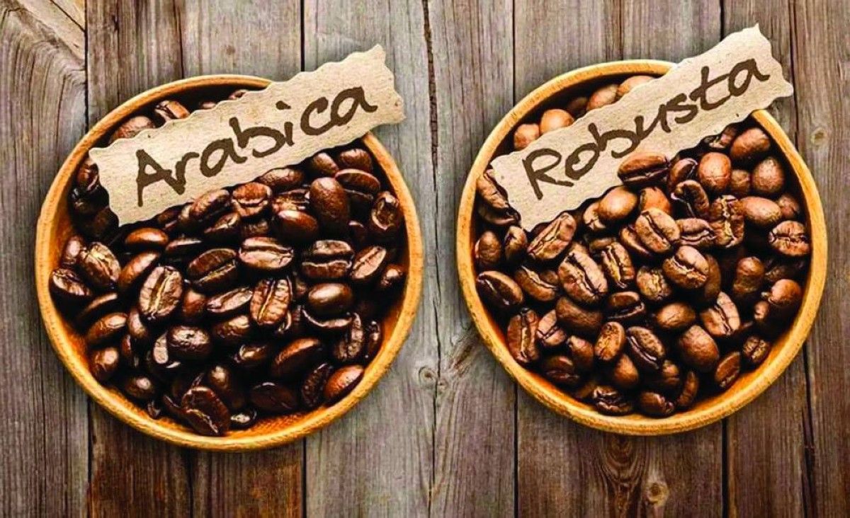 ارتفاع أسعار قهوة «روبوستا» من أدنى مستوى في 4 أشهر