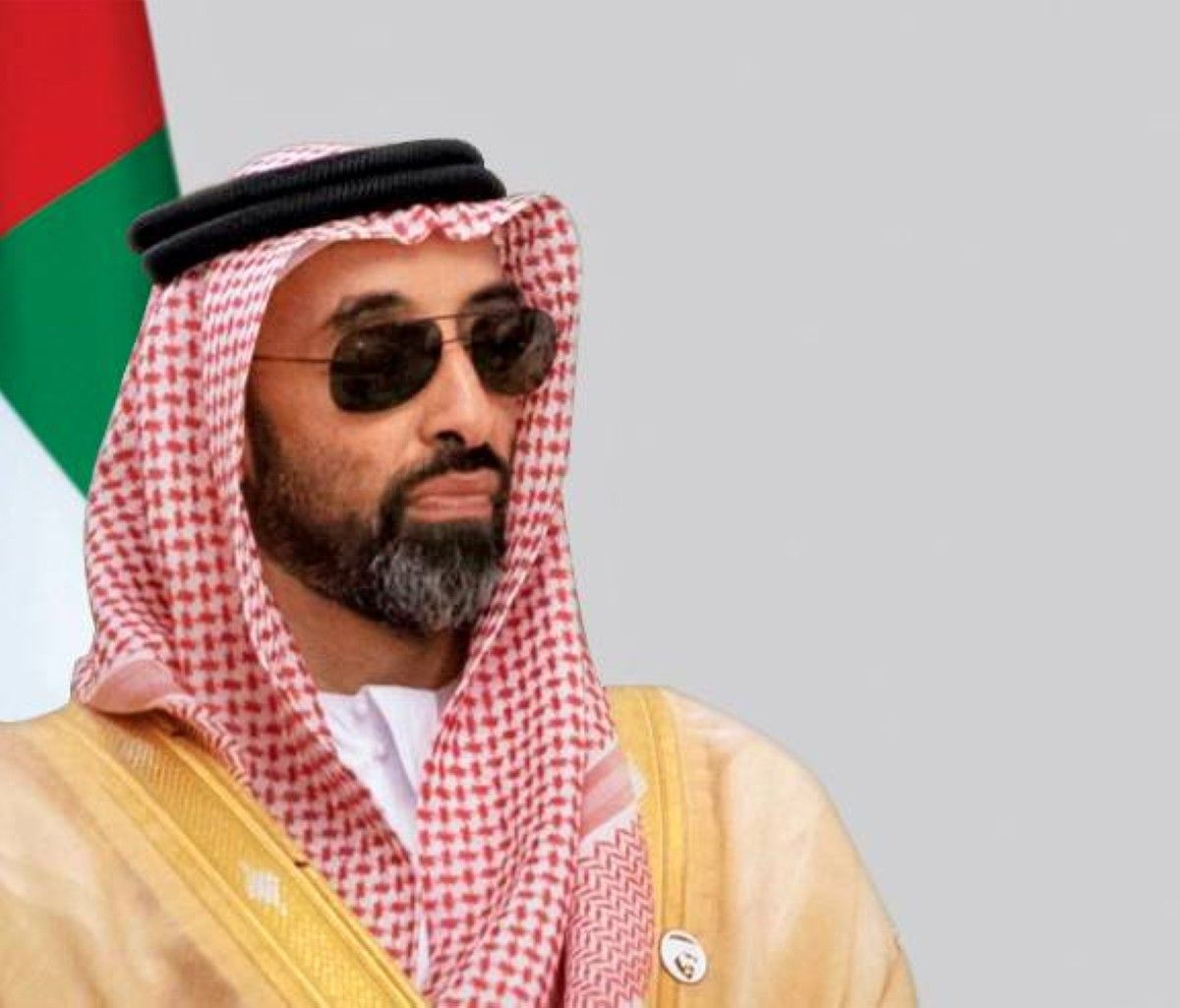 طحنون بن زايد: نأمل أن يعم السلام والاستقرار العالم وشعوبه بالخير