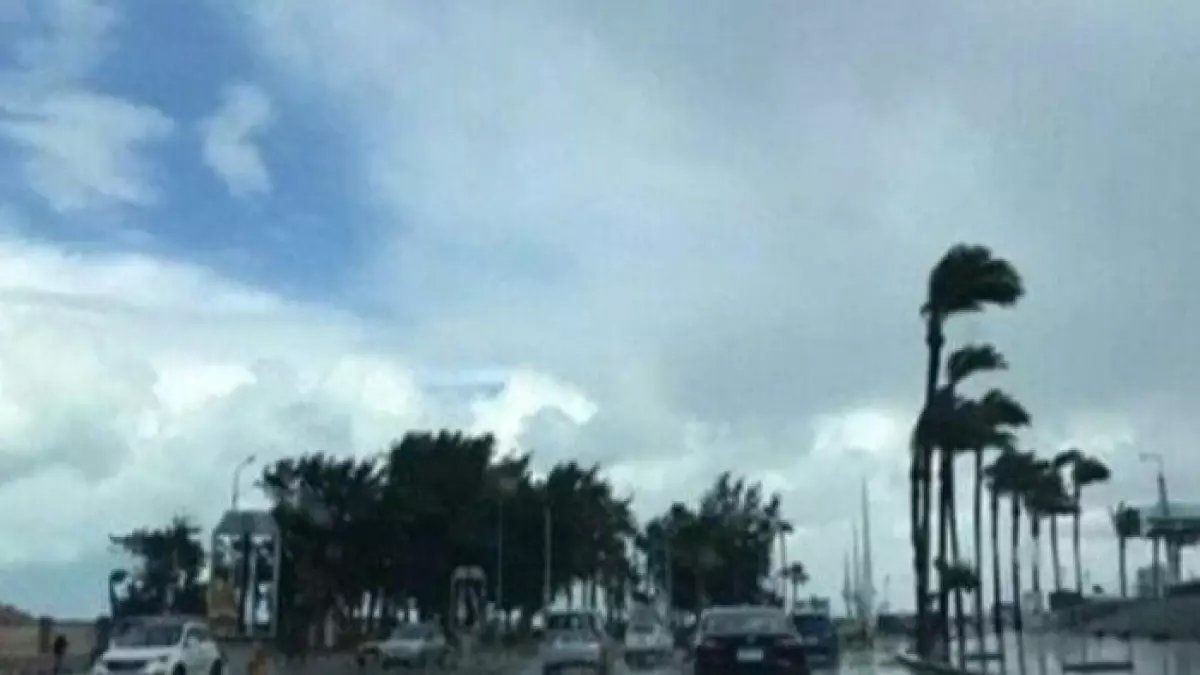 رسمياً: شبورة كثيفة تغطي مصر وأمطار متوسطة متوقعة… درجات الحرارة تنخفض لـ 6 درجات!