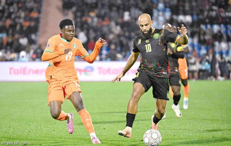 أول تعادل بين «الأفيال» و«الأسود»