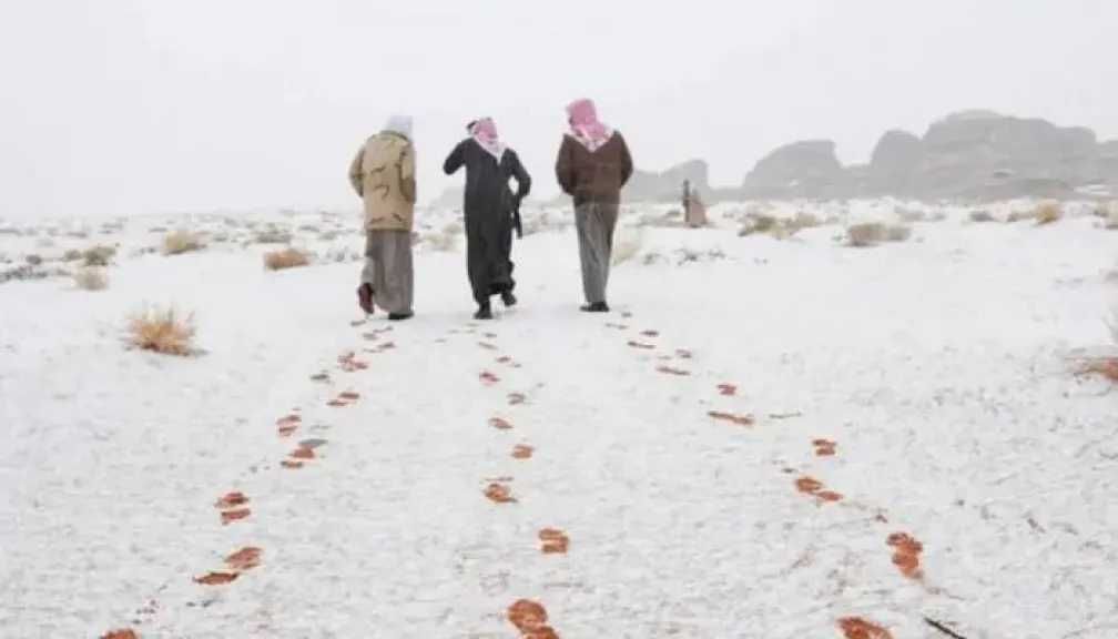 طقس السعودية غدا الأربعاء 31-12-2025.. تحذيرات من الرياح المثيرة للغبار وأمطار خفيفة في الشمال