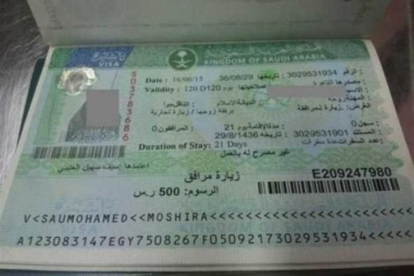 رسمياً: منصة إنجاز تكشف حالة تأشيرتك السعودية خلال ثواني برقم الجواز... لا حاجة للسفارات!