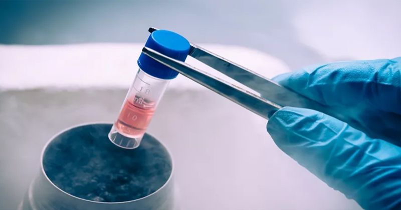 «الصحة» تنظم التعامل مع الخلايا الجذعية