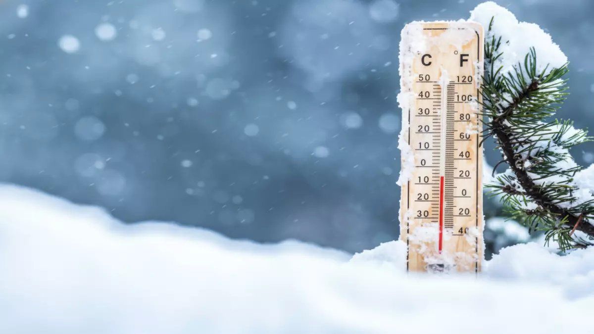 رسمياً: موجة برد قطبية تضرب السعودية اليوم - حائل تسجل 4 درجات والرؤية تنعدم!