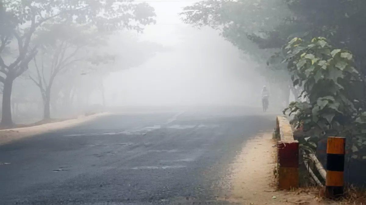 رسمياً: انهيار الحرارة إلى -3 درجات والصقيع يغزو 4 مدن سعودية خلال ساعات!