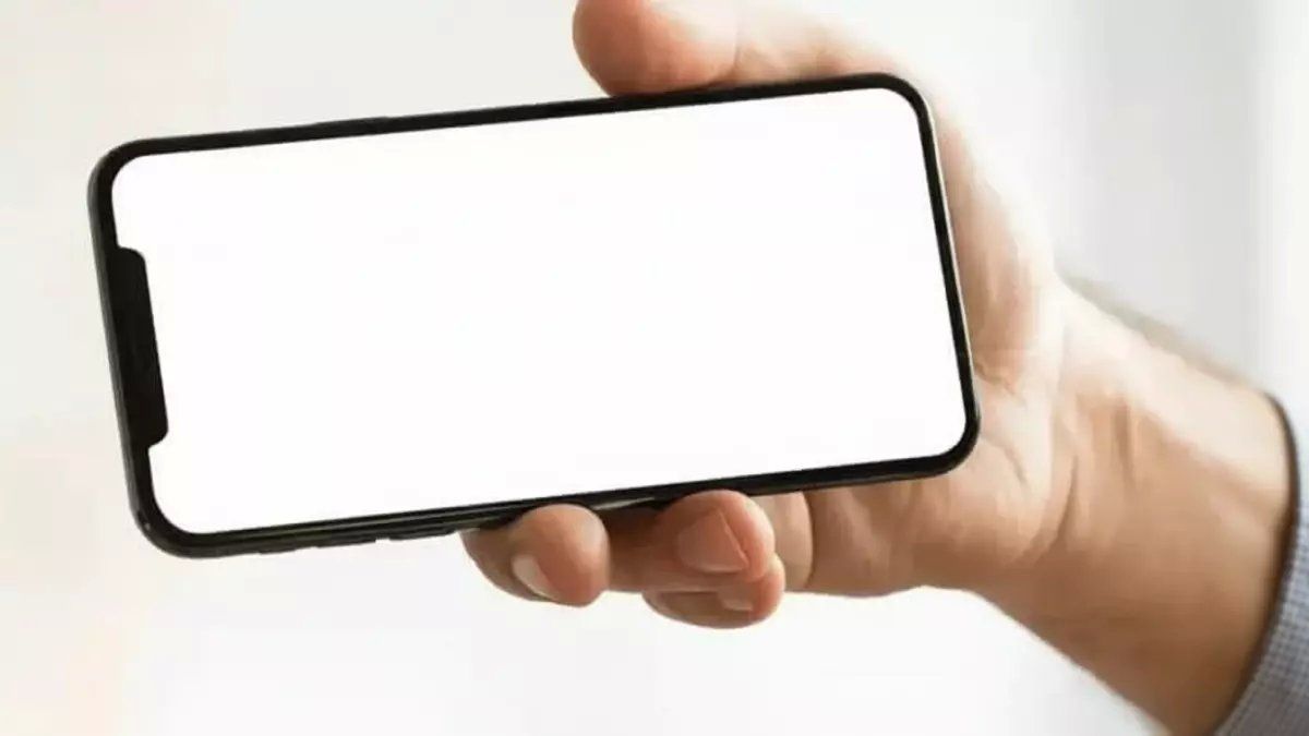 رسمياً: حساب المواطن يكشف مفاجأة للمتزوجين... لن تحتاجوا عقد إيجار أبداً!