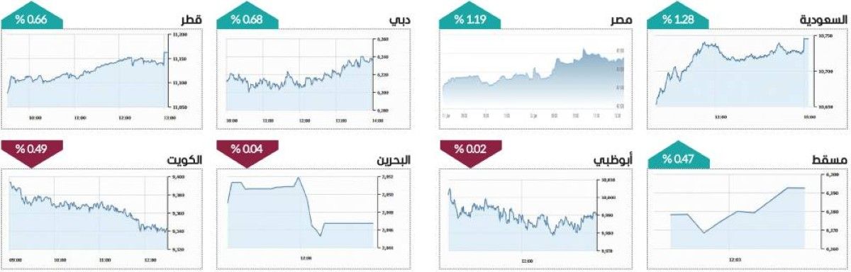 سوق دبي يحلّق لأعلى مستوى منذ منتصف يناير 2008