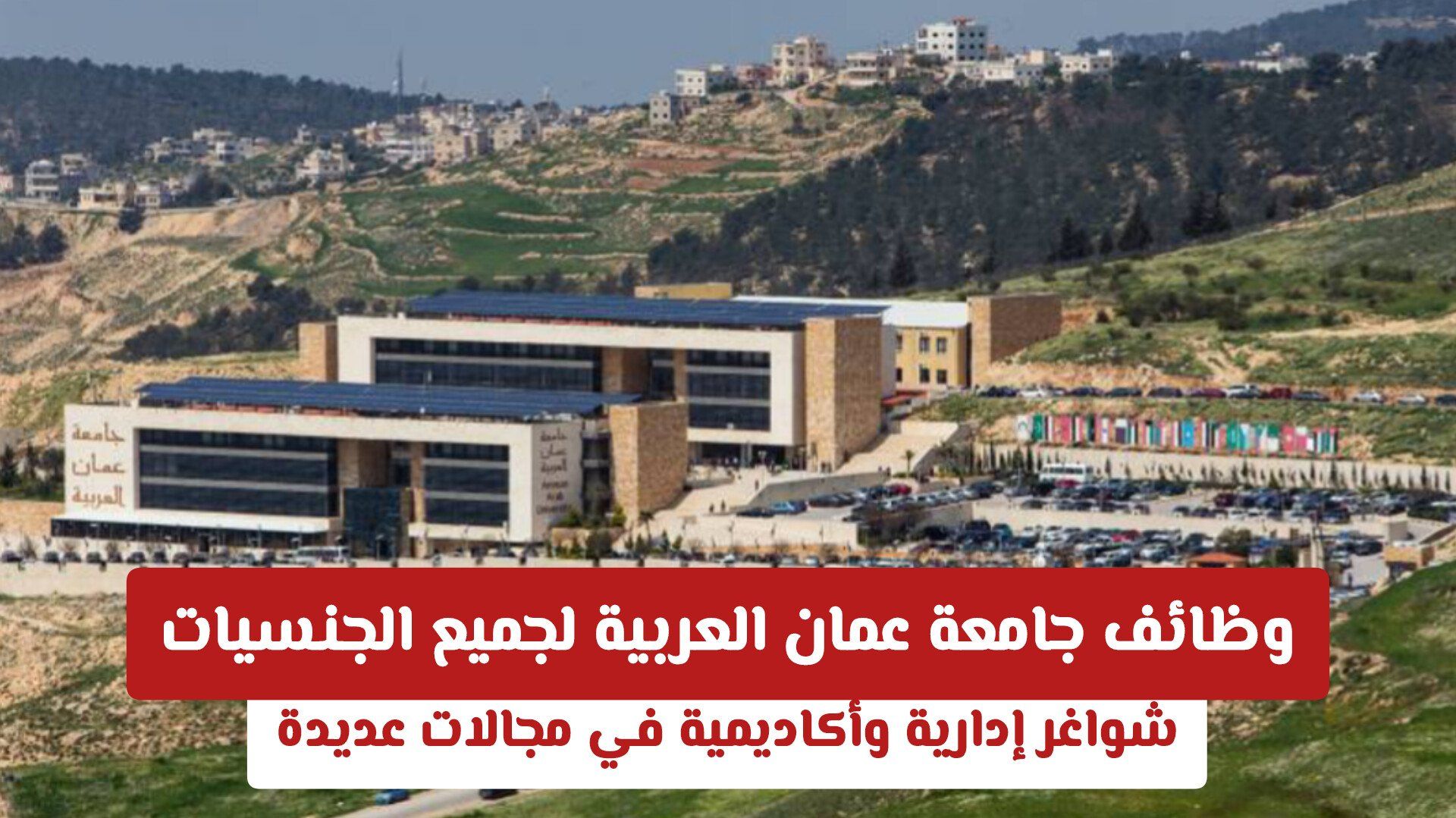 وظائف جامعة عمان العربية لجميع الجنسيات| شواغر إدارية وأكاديمية في مجالات عديدة