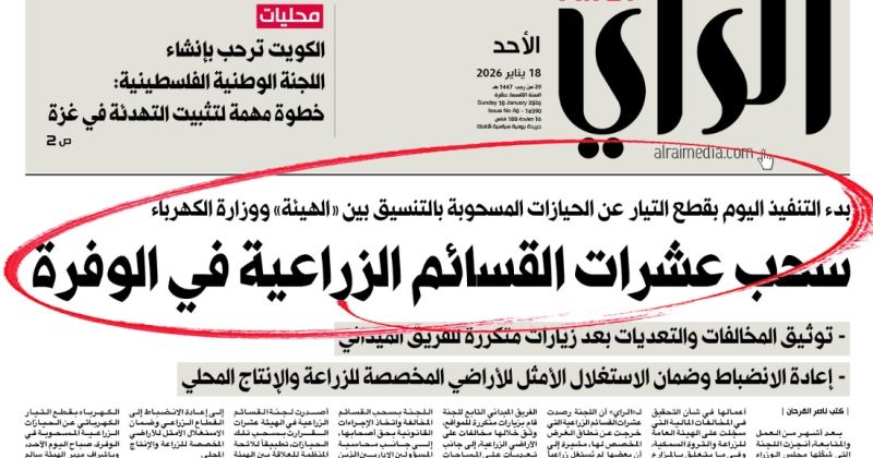 قطع الكهرباء عن مزارع مخالفة في الوفرة تمهيداً لإخلائها