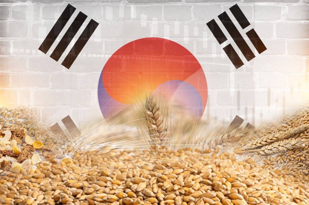 10.2 مليارات دولار صادرات كوريا الجنوبية الزراعية والغذائية خلال 2025