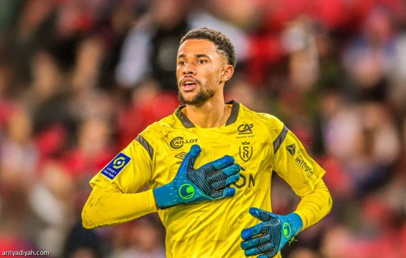 «حرب المناشف» تحول ضيوف إلى بطل قومي