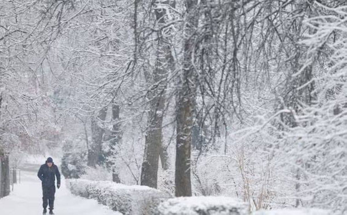 الجليد والبرد يهددان بإتلاف محاصيل في أوكرانيا