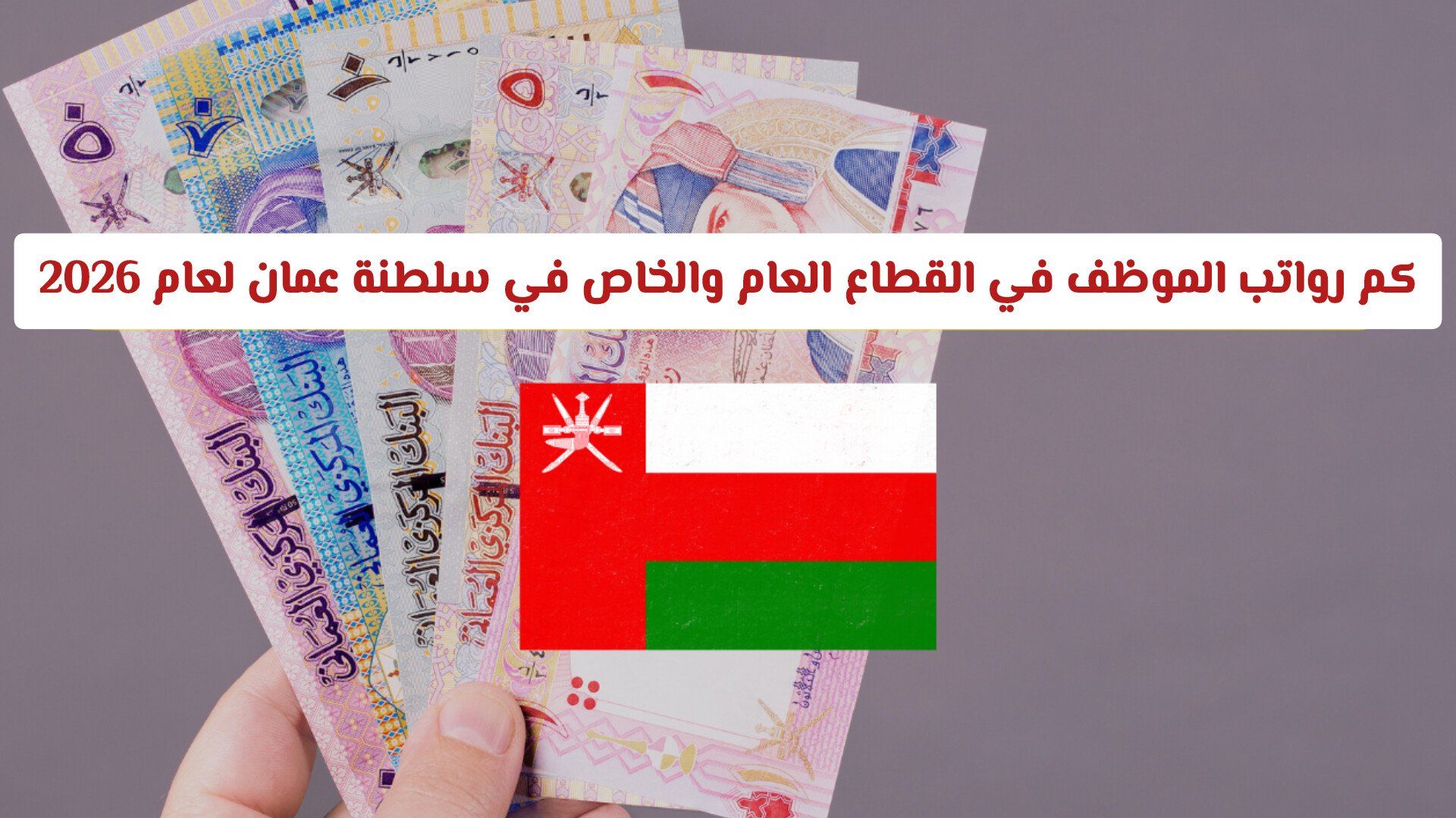 كم رواتب الموظف في القطاع العام والخاص في سلطنة عمان لعام 2026 بعد الزيادة .. إنفوجرافيك