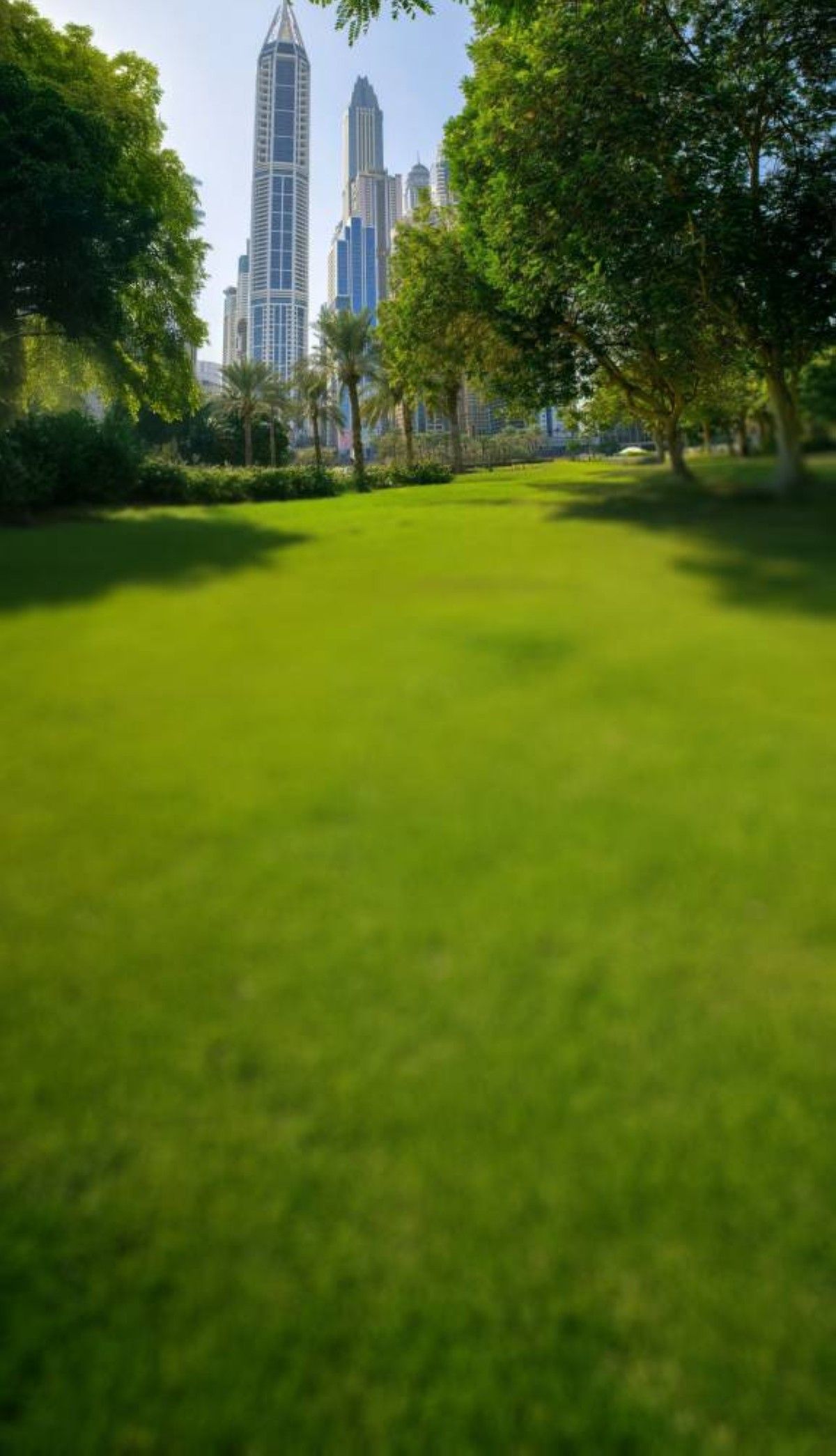 «متنزهات الإمارات».. منصات مفتوحة لاستقطاب المستثمرين ورواد الأعمال