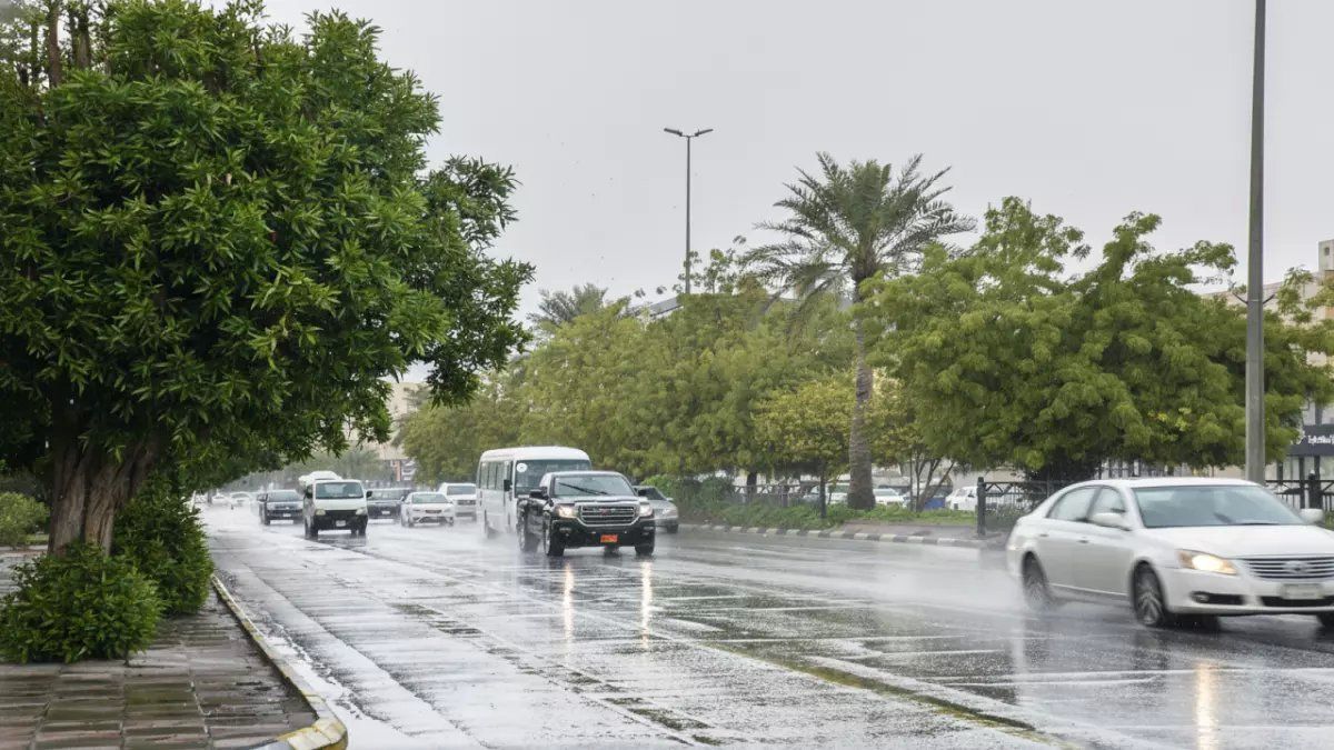 رسمياً: عاصفة مدمرة تضرب المدينة المنورة خلال ساعات… الأرصاد تحذر من كارثة طبيعية!