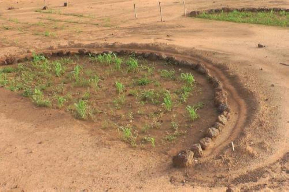 تقنية مائية منسية.. مشروع الهلال يغيّر وجه الصحاري للأبد