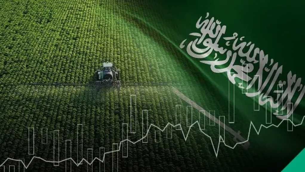 السعودية تصدم المزارعين بقرار مدوي.. ما التفاصيل؟