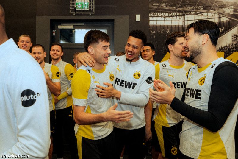 تشيلسي يقطع إعارة أنسلمينو