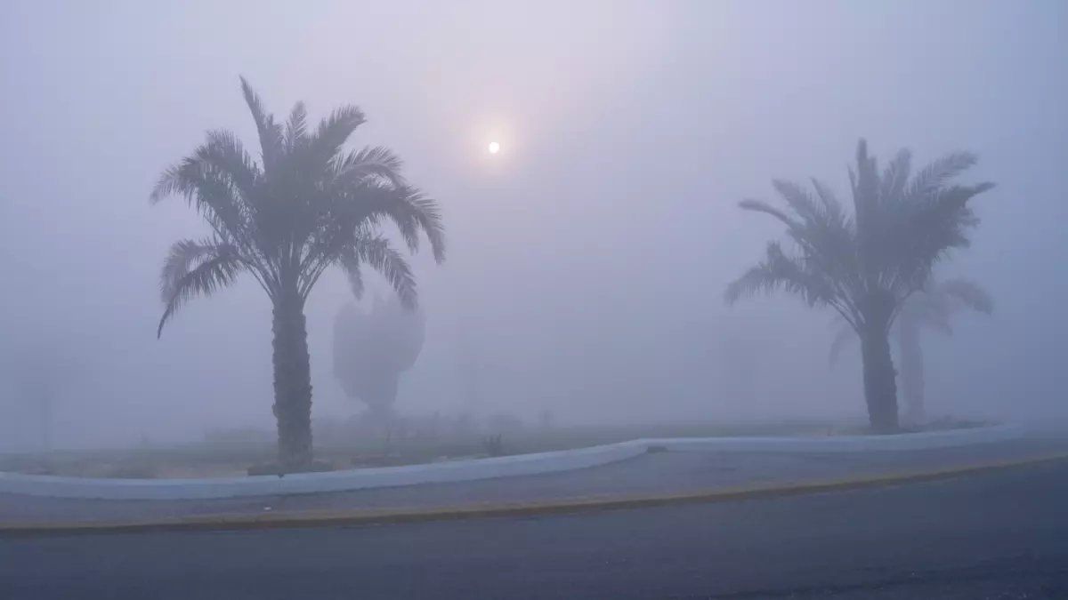 رسمياً: إنذار أحمر يضرب الشرقية... ضباب كثيف يمحو الرؤية تماماً حتى 12 ظهراً!
