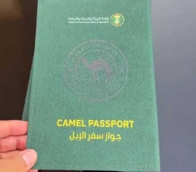ماذا تعرف عن جواز سفر الإبل؟
