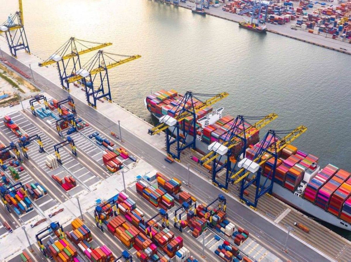 الإمارات ترسخ مكانتها كمحور عالمي لسلاسل الإمداد وتدعم الأمن الغذائي إقليمياً ودولياً