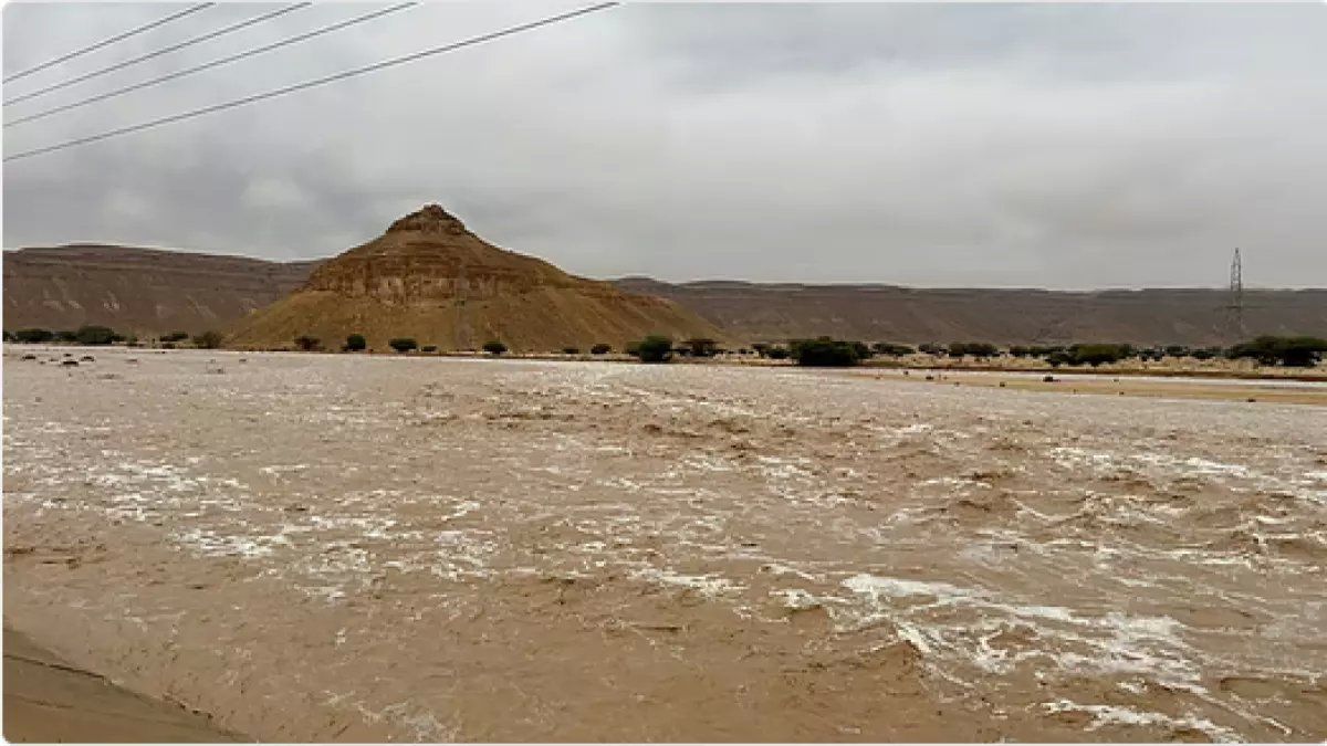 رسمياً: حرس الحدود السعودي يحذر المواطنيين والمقيمين من خطر قاتل... ابتعدوا عن هذه المناطق فوراً!