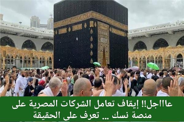 عاااجل!! إيقاف تعامل الشركات المصرية على منصة نسك … تعرف على الحقيقة