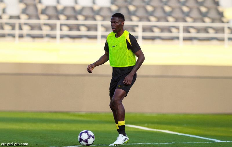 إيلينيخينا وكيلر يدخلان اهتمامات كونسيساو