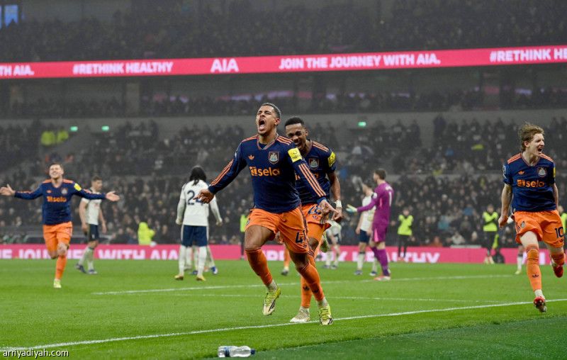 نيوكاسل يحبط توتنام بثنائية