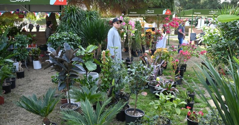 إقبال غير مسبوق على «سوق المزارعين»