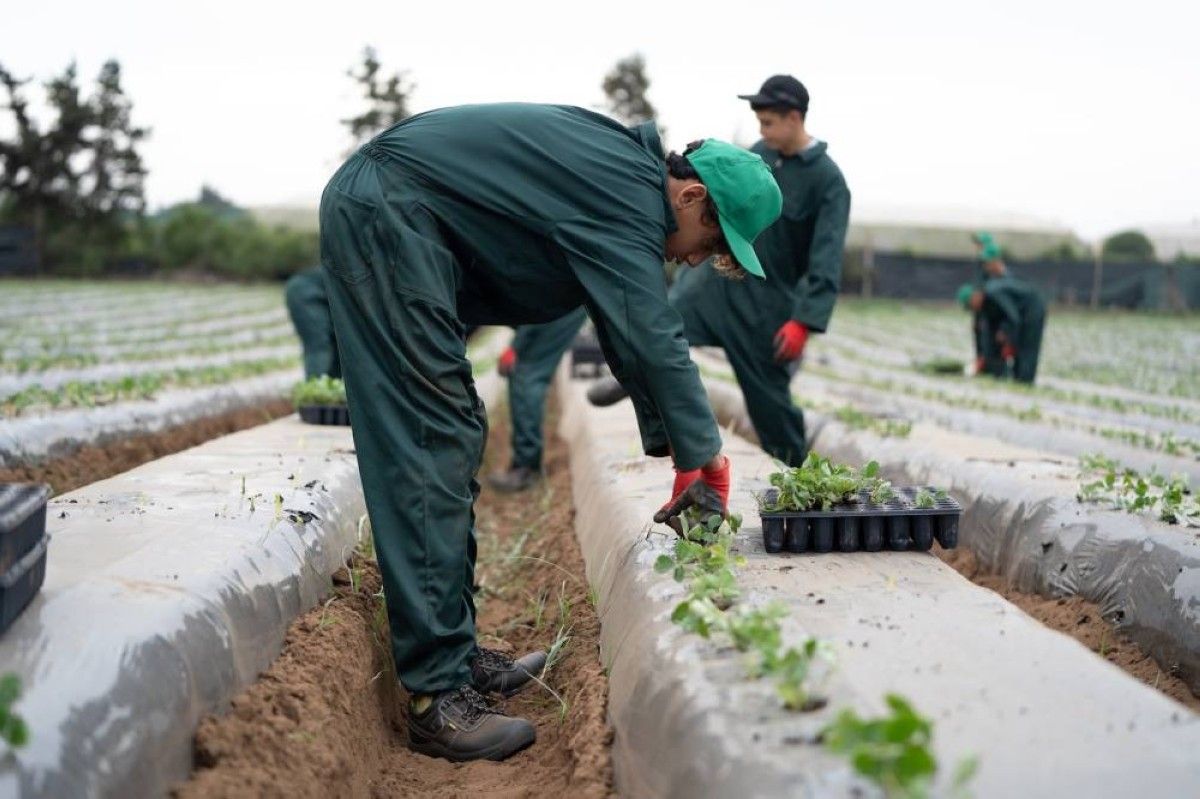36 ألف مستفيد من برامج مؤسسة خالد بن سلطان الإنسانية