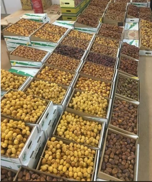 دليلك الشامل .. التمر والرطب الفرق بينها وأيها مناسب للفطور والسحور وأسعار كل نوع في السعودية