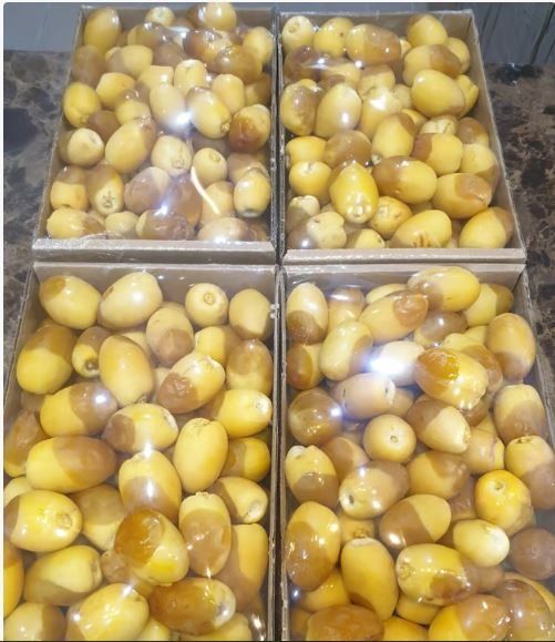 دليلك الشامل .. التمر والرطب الفرق بينها وأيها مناسب للفطور والسحور وأسعار كل نوع في السعودية