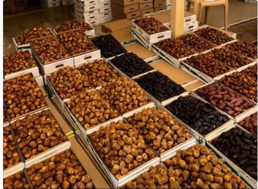 دليلك الشامل .. التمر والرطب الفرق بينها وأيها مناسب للفطور والسحور وأسعار كل نوع في السعودية