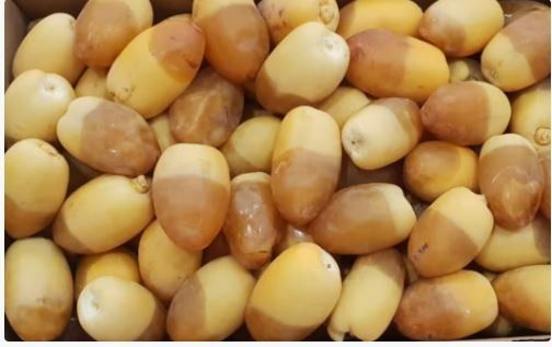 دليلك الشامل .. التمر والرطب الفرق بينها وأيها مناسب للفطور والسحور وأسعار كل نوع في السعودية