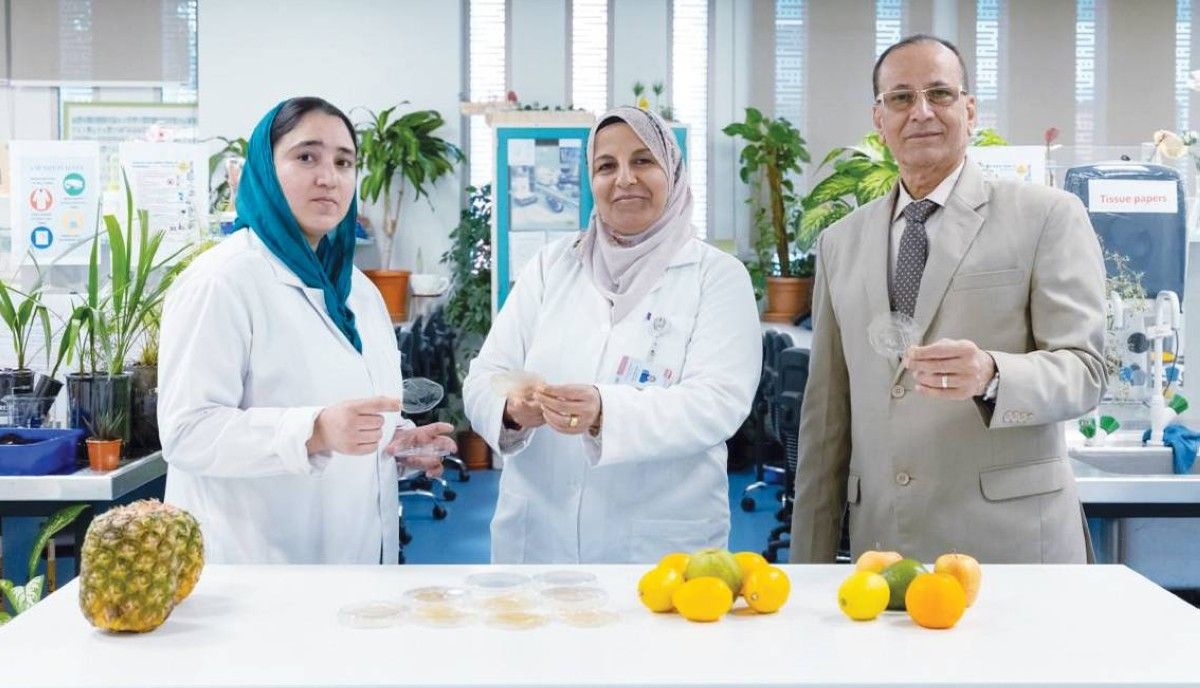 فريق بحثي من جامعة الإمارات يحصل على براءة اختراع