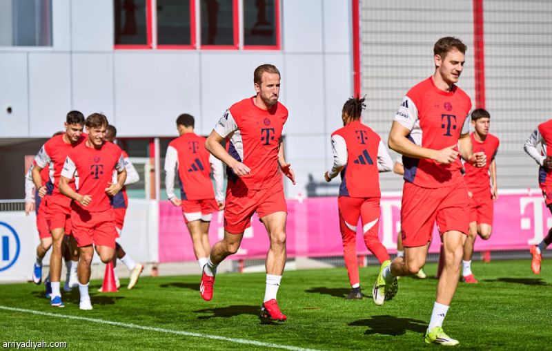 أمام دورتموند.. كين يخطط على قياسي جديد