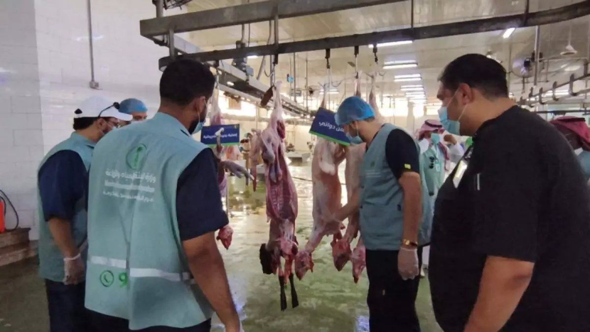 رسمياً: أمانة جدة تسحق شبكة أغذية فاسدة… ضبط 1.1 طن لحوم وأسماك متعفنة داخل مبنى مهجور!