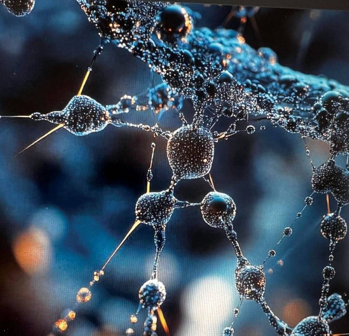 «روبوتات النانو» تعيد رسم ملامح الرعاية الصحية