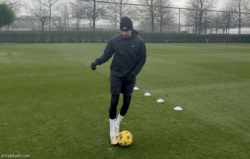 ديلي آلي يعود إلى توتنام