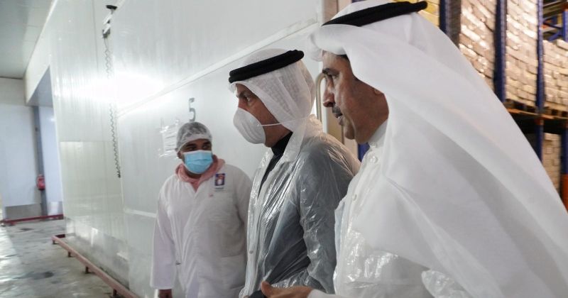 وزير التجارة يتفقد شركات الدواجن ويؤكد استقرار الإمدادات وانسيابية العمل