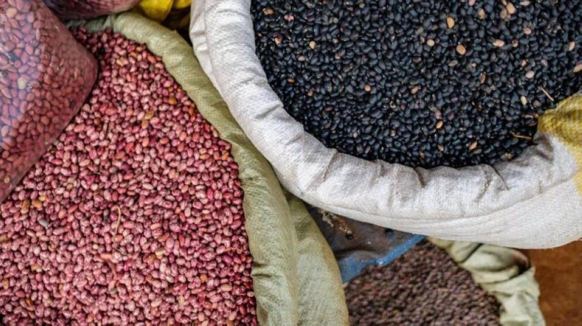 فاو: ارتفاع أسعار الغذاء العالمية في فبراير