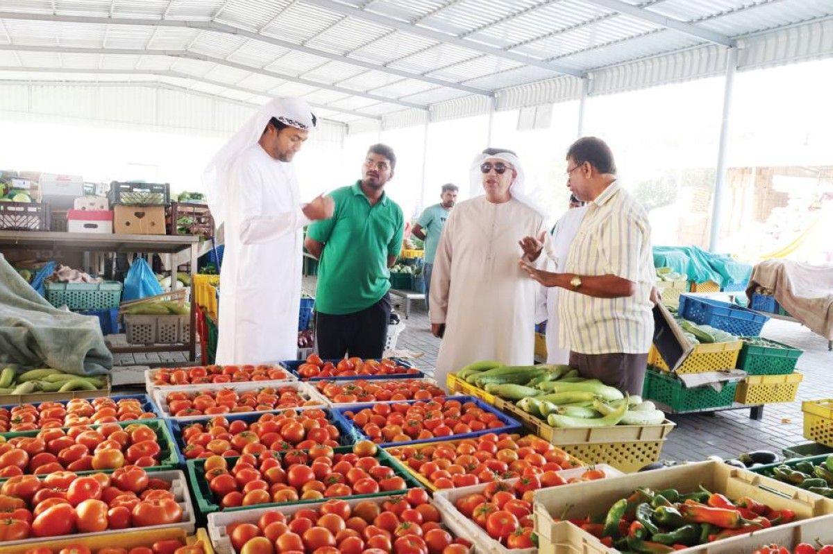 تعميم لتنظيم تداول السلع الأساسية في رأس الخيمة