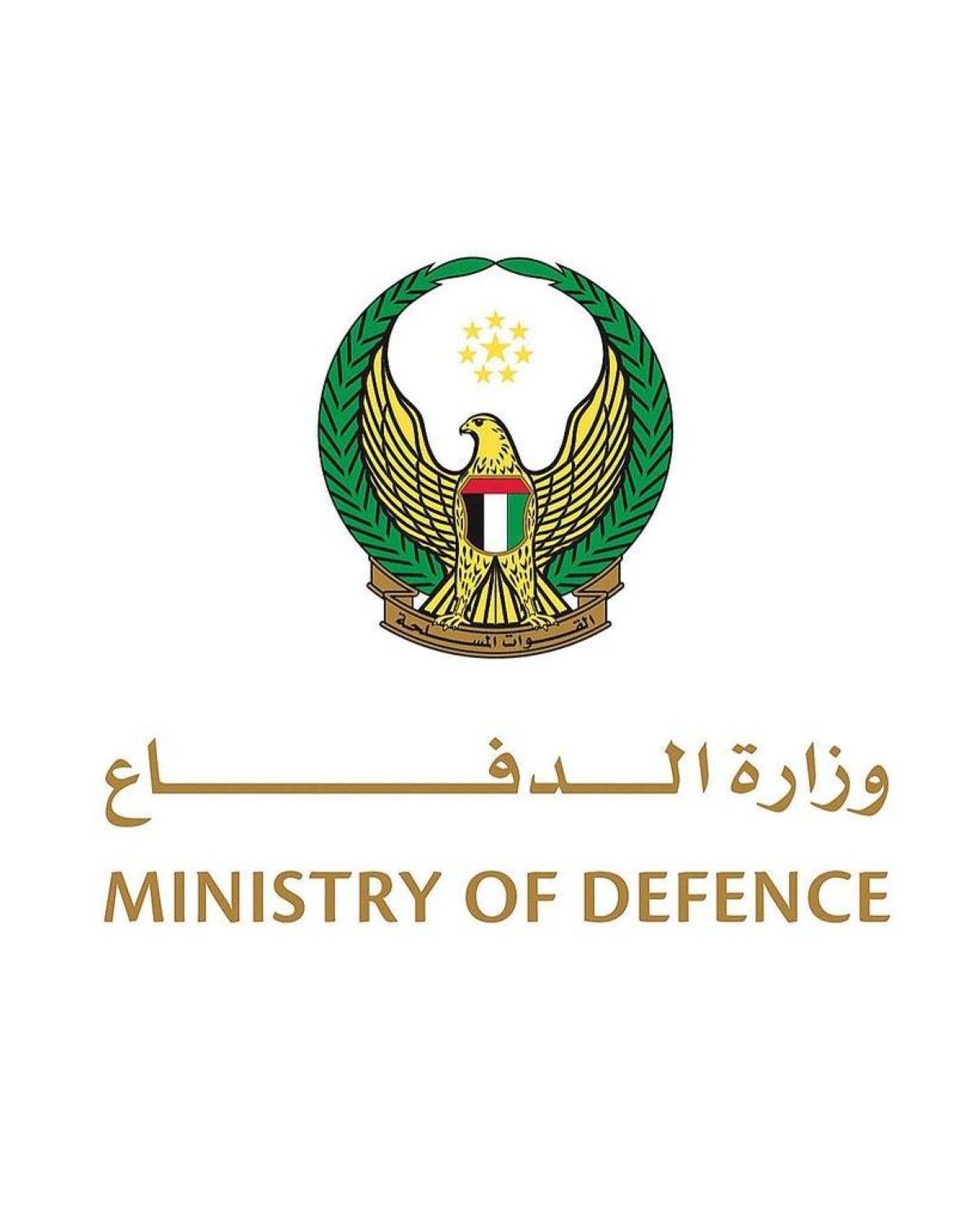 الدفاعات الجوية الإماراتية تدمر 12 صاروخاً باليستياً و17 "مسيرة" إيرانية