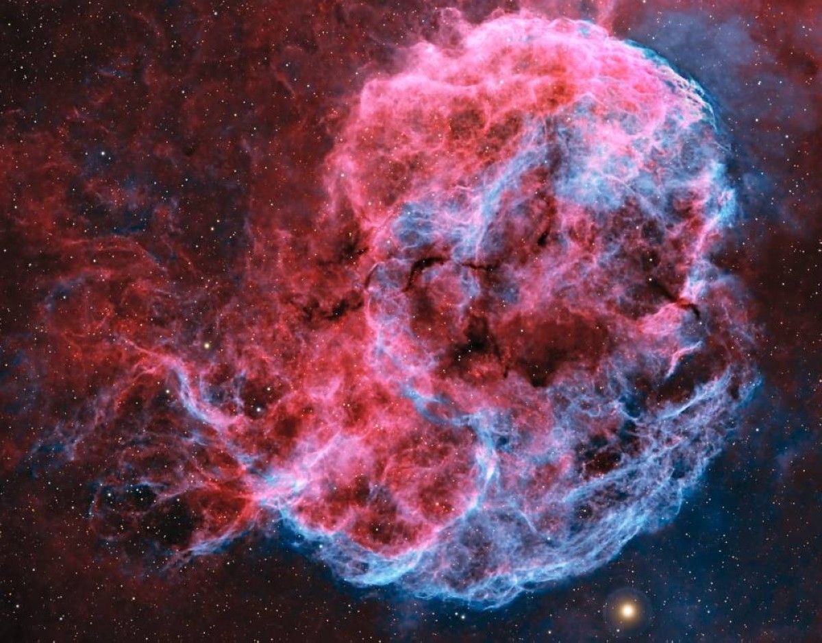 تصوير "قنديل البحر" في سماء أبوظبي